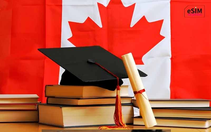 Chuẩn bị đầy đủ giấy tờ, đồ dùng, tài chính và esim canada giúp du học sinh tự tin khởi đầu